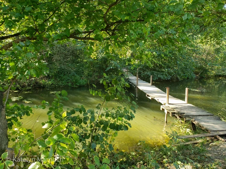 A rustic wooden footbridge crossing a small river on a nature trail in South Moravia.