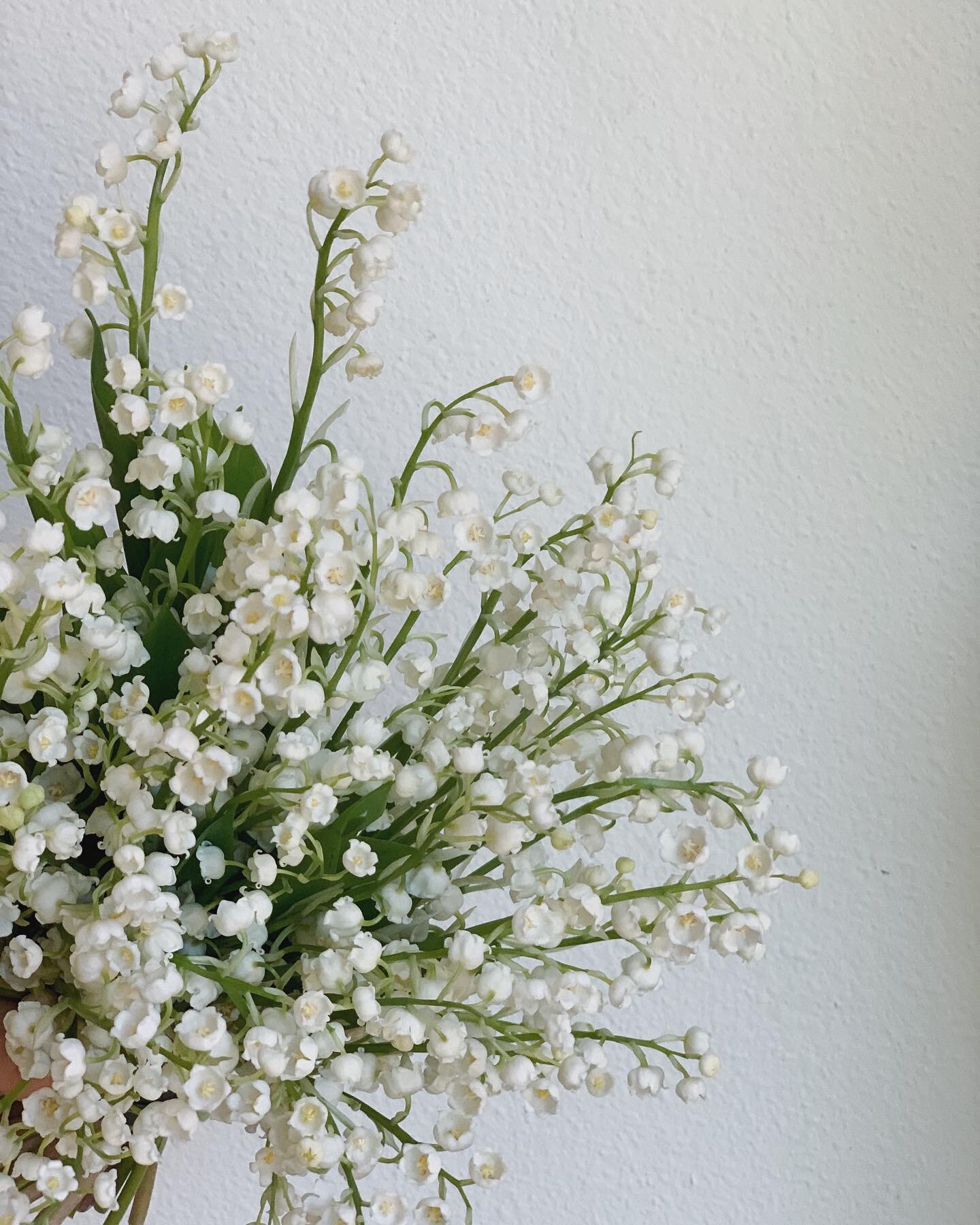 Lily of the Valley bouquet for @the___wildflowers // Simply put, my heart is beaming after yesterday. I owe endless thanks to the dozens of hands that worked so hard to make such a vision happen. I cannot wait to share more, but for now let us enjoy 