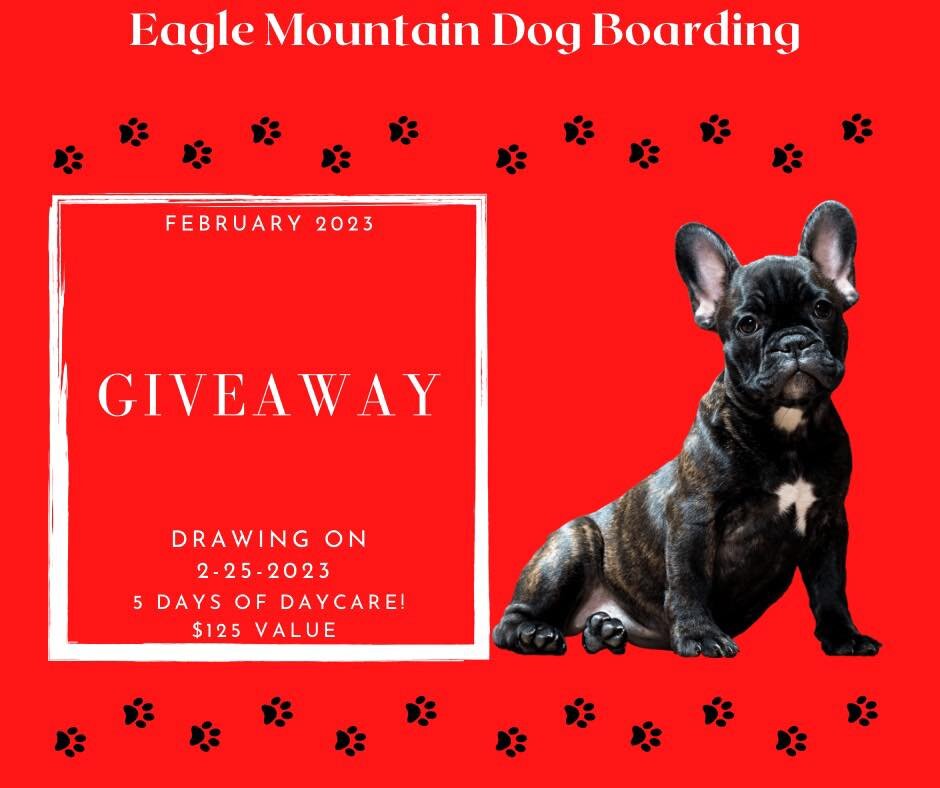 Congratulations Linsie Draper! You are February&rsquo;s winner! #doggydaycare #dogboarding #wehaveawinner #eaglemountaindogboardingandgrooming