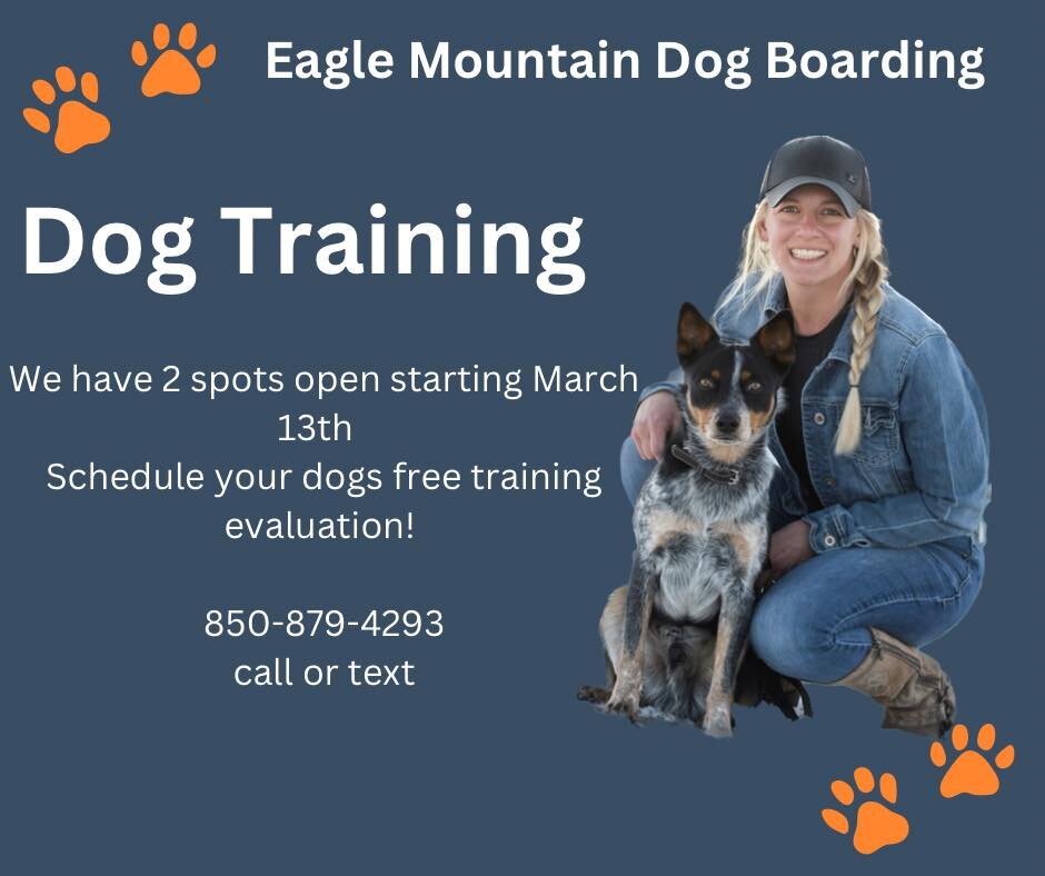 We have 2 training spots open starting March 13th! 

Let&rsquo;s get your pups ready for all your adventures with obedience training. On and off leash training packages available.