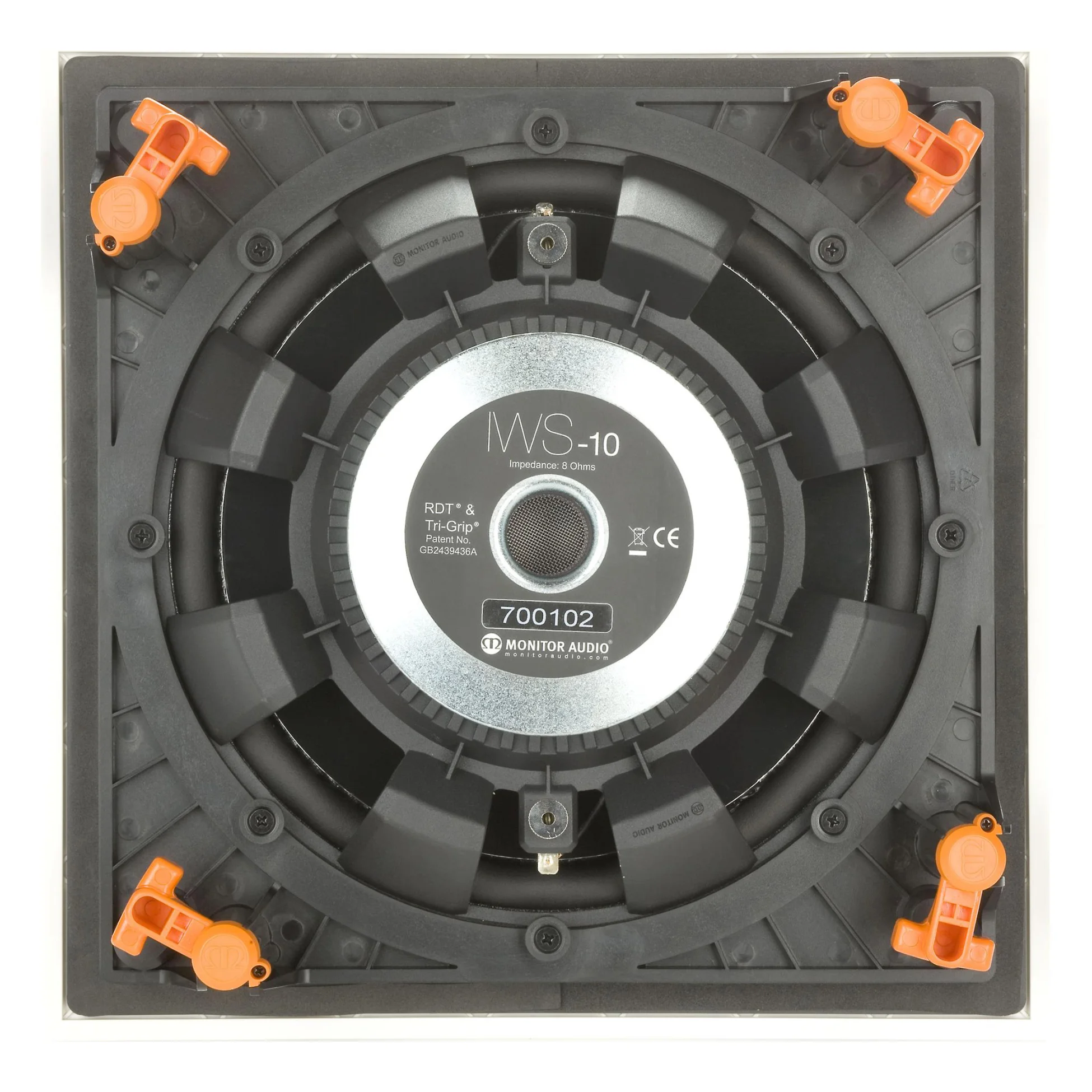 IWS-10 back.jpg