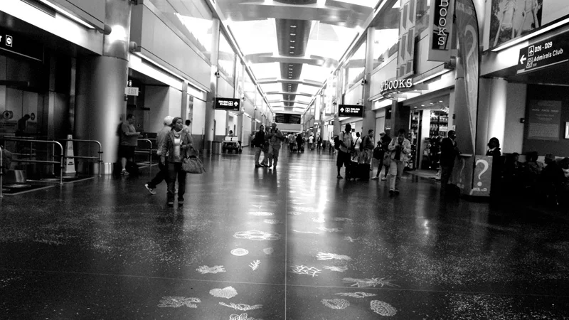 sdim0090.jpg
