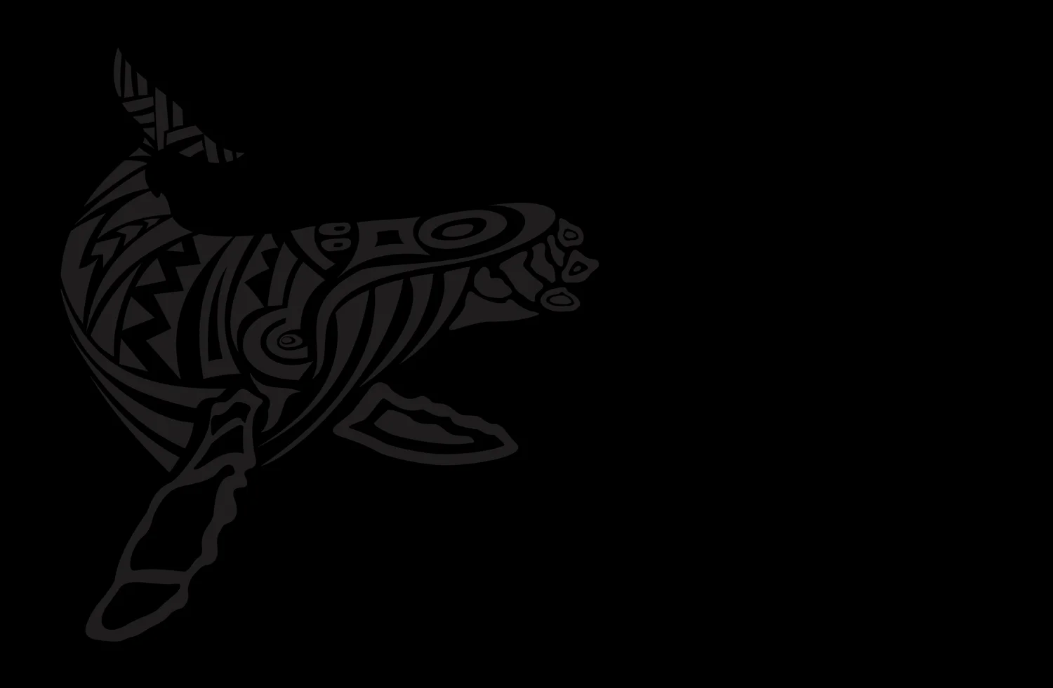 whalediscoveries_background.jpg