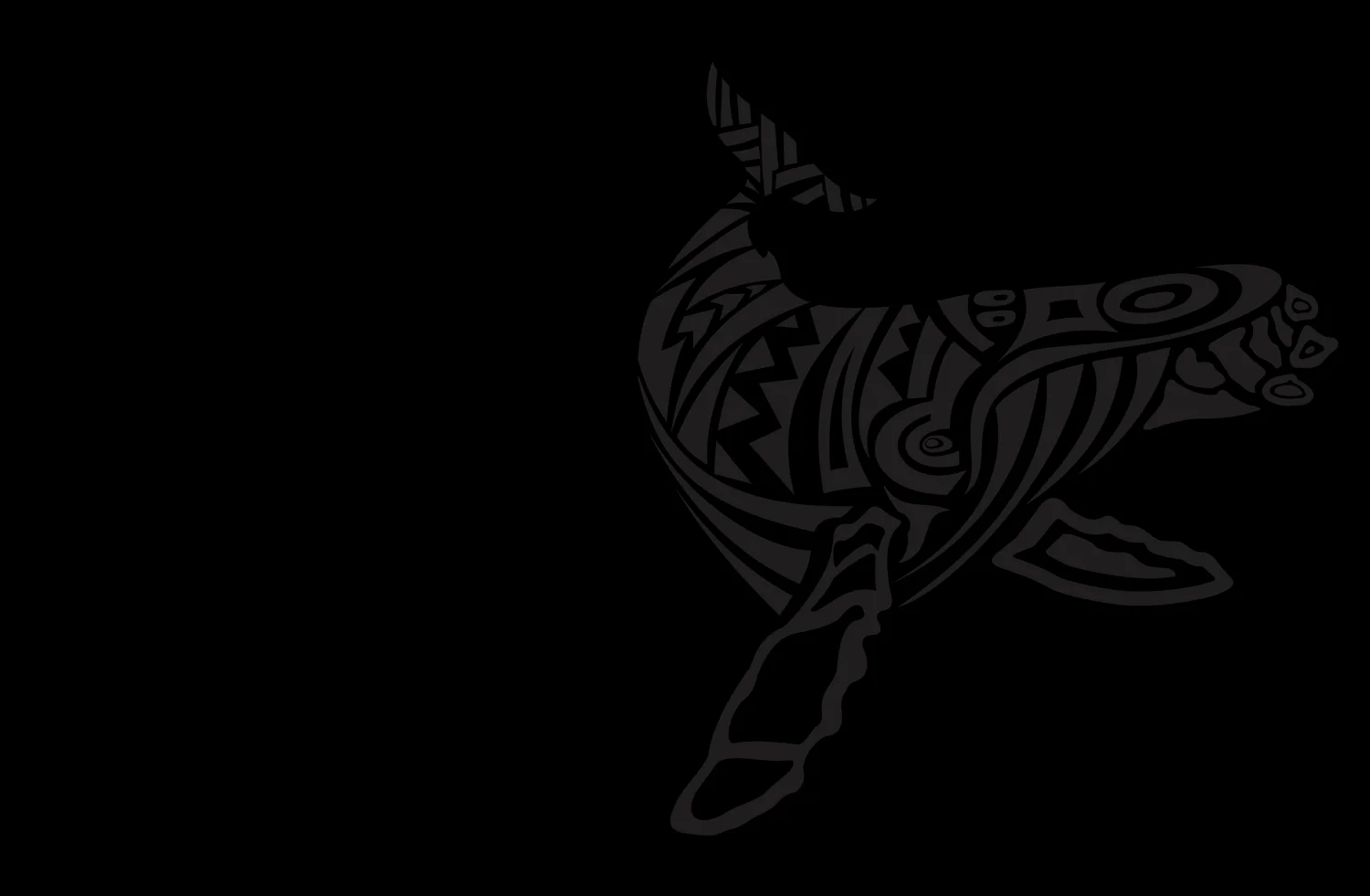 whalediscoveries_background2.jpg