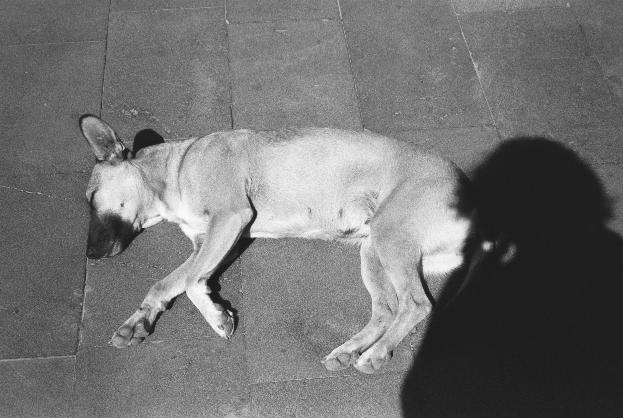 04.jpg
