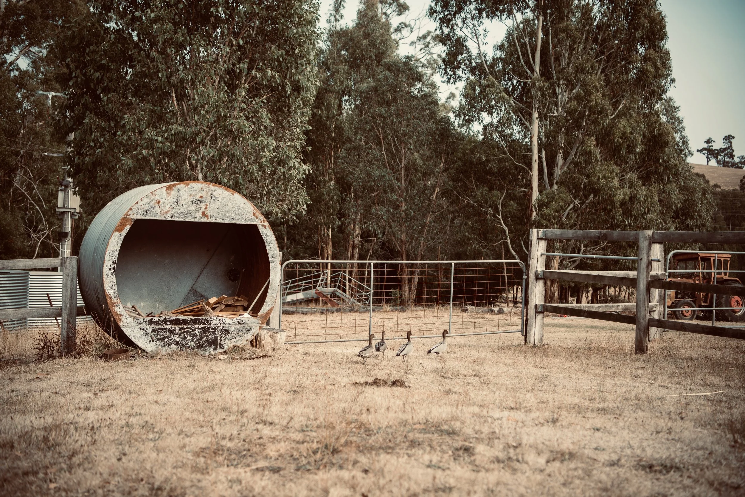 eightacrepaddock-005.jpg