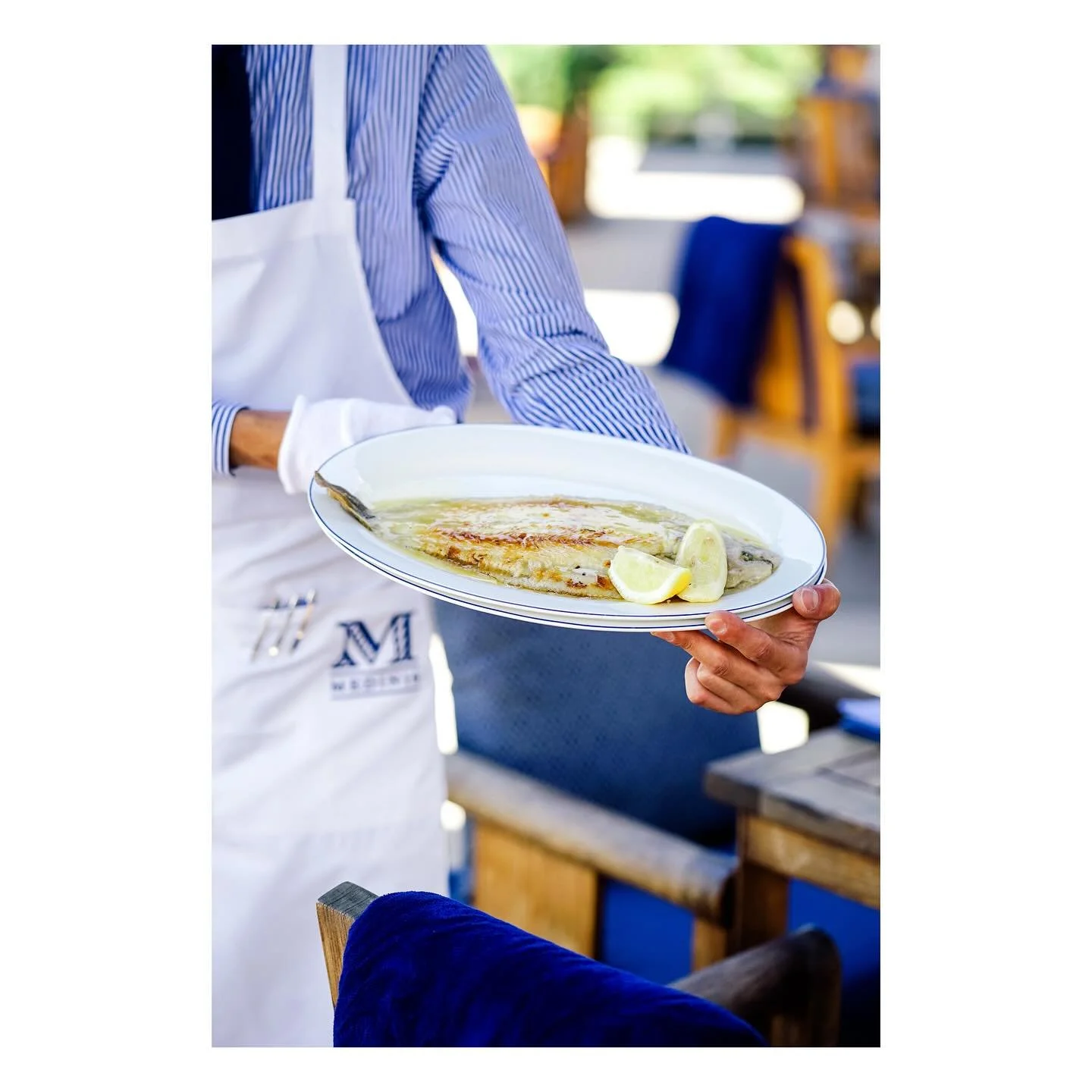 Schon unsere neue Sommerkarte probiert?
Unsere Seezunge wird direkt am Tisch mit Zitronen-Butter-Sauce verfeinert – ein mediterraner Klassiker, der den Sommer auf den Teller bringt.
Jetzt auf unserer Terrasse genießen.
#medinisheiligendam