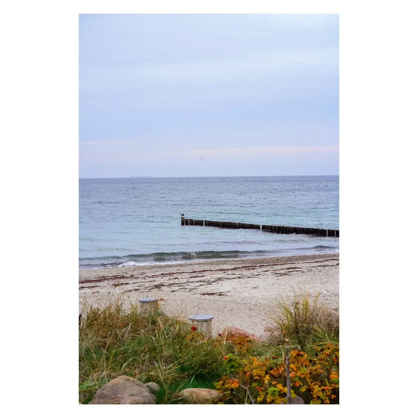 Die kalten Monate neigen sich dem Ende und wir kehren aus unserer Winterpause zur&uuml;ck. In einem Monat ist es soweit &ndash; ab dem 26.03.2026 &ouml;ffnet das Medinis wieder seine T&uuml;ren!
Nach dem Strandspaziergang hei&szlig;t es dann wieder: 