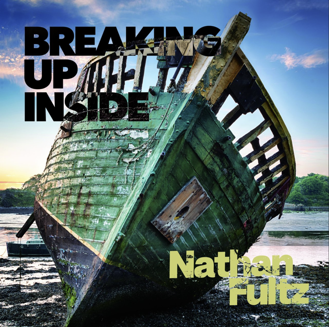 Nathan Fultz - Breaking Up Inside.png