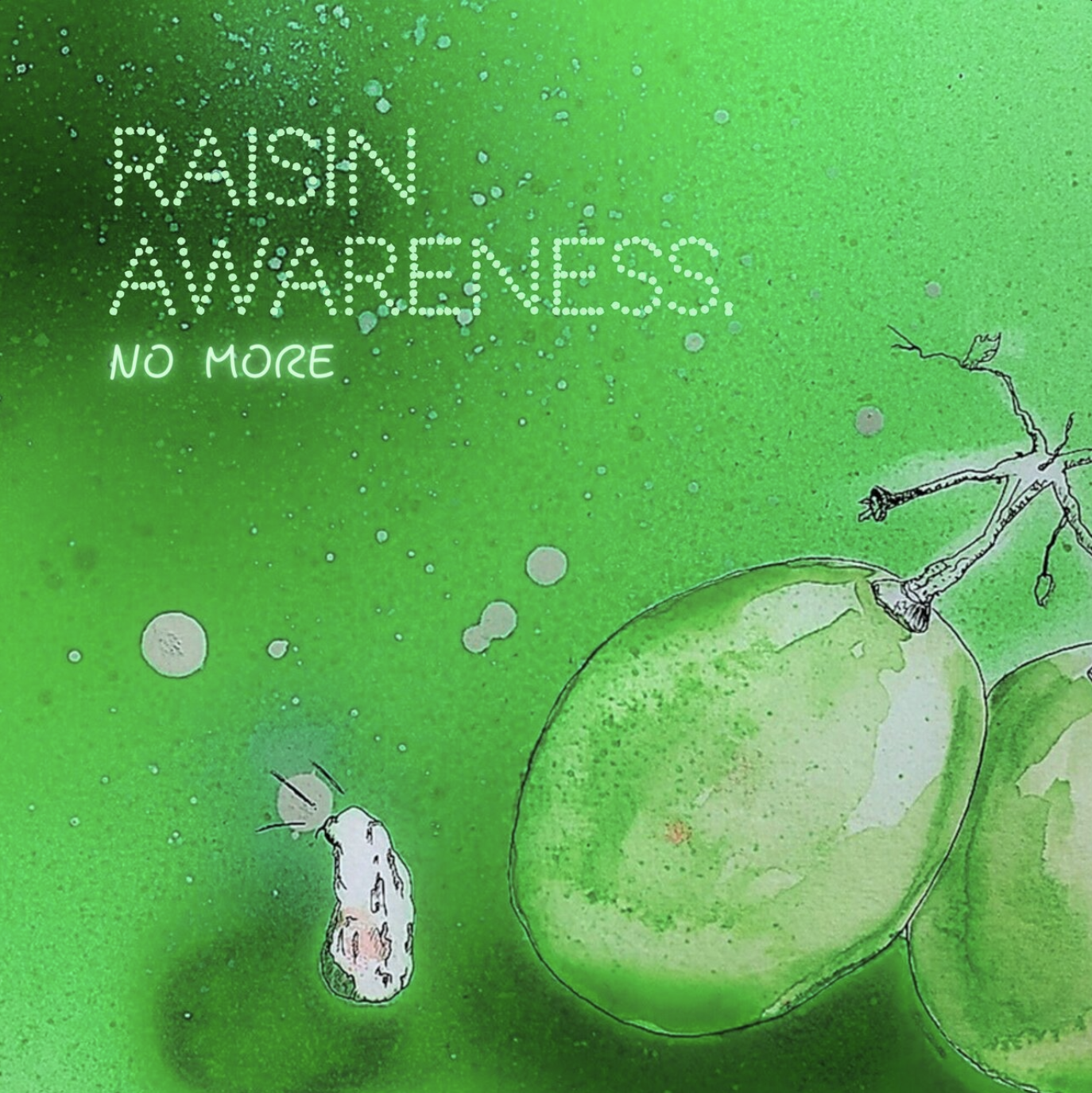 Raisin Awareness - No More.png