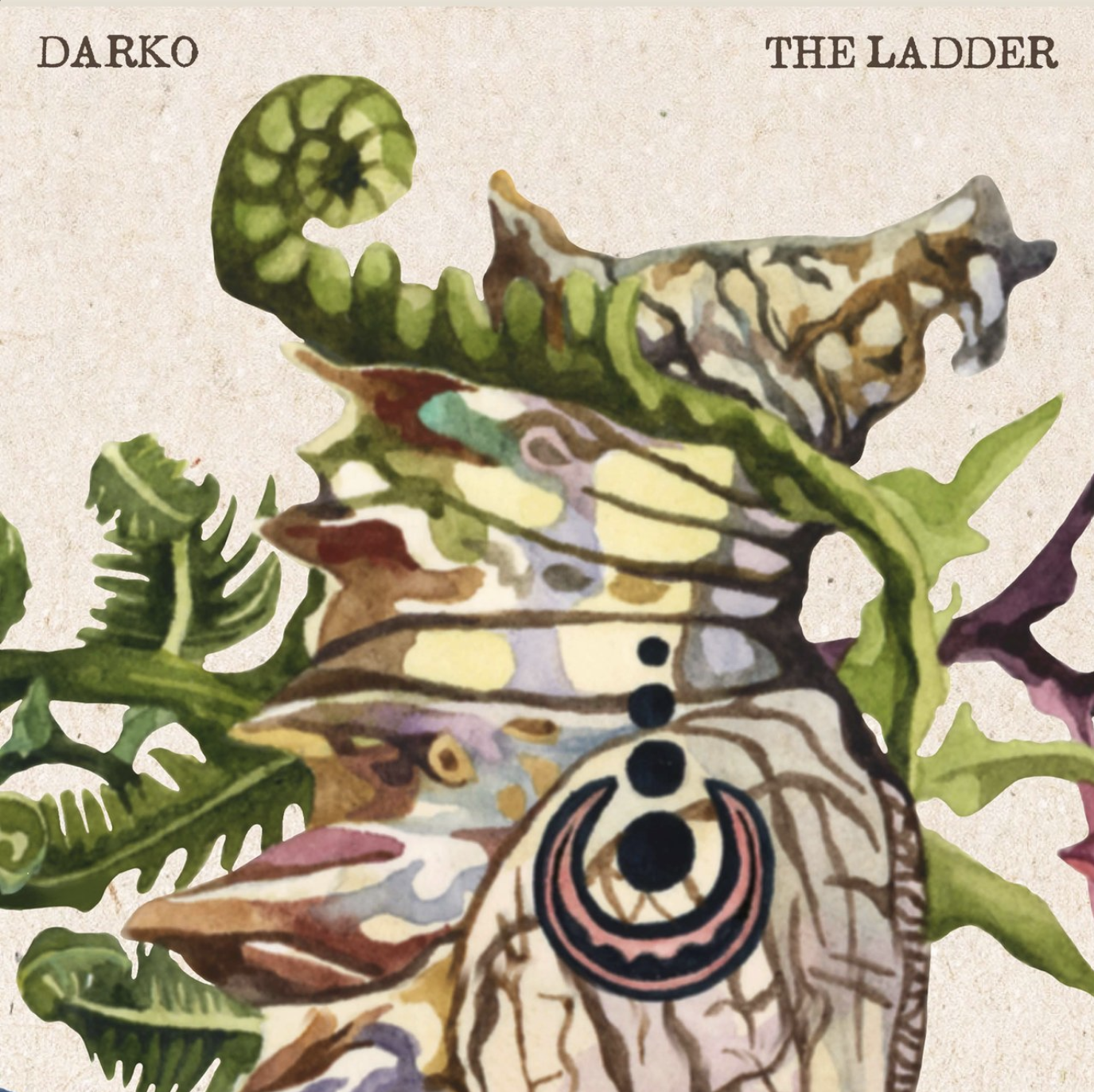 Darko - The Ladder.png