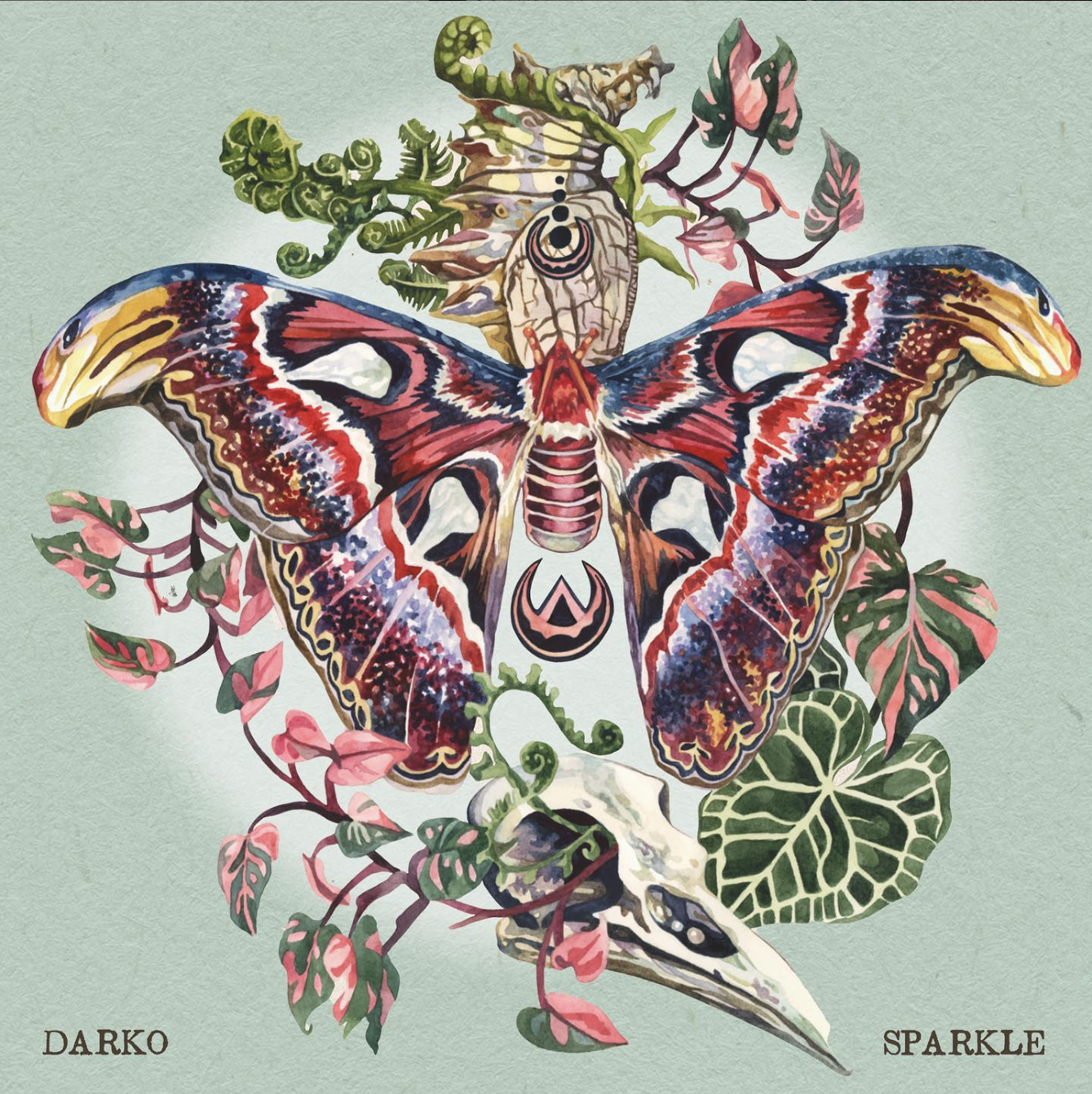 Darko - Sparkle.png