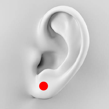 Standard Lobe Piercing This piercing is any piercing that goes through the fleshy lower part of the ear—basically where you got your very first ear piercings
