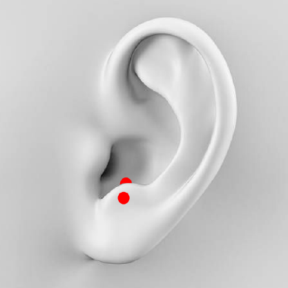 Anti-tragus Piercing This piercing sits opposite the tragus with a similar pointy shape.