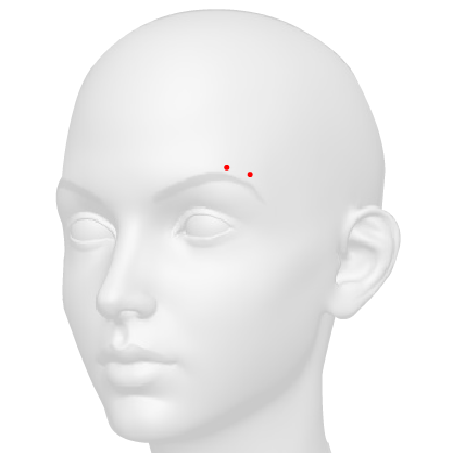 Horizontal Eyebrow Piercing This eyebrow piercing is a type of surface piercing that is placed horizontally along the line of the eyebrow.