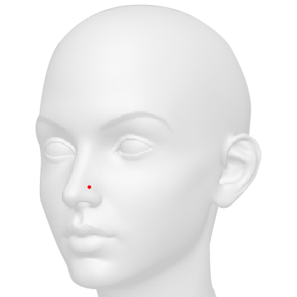 Nostril Piercing The septum or nasal septum is the cartilaginous wall that divides the two nostrils.The cartilage is, however, usually not pierced. It is the thin strip of very soft and flexible skin, just between the cartilage and the bottom of the nose.