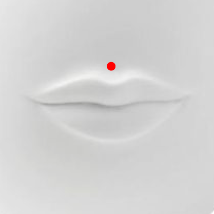 Medusa Piercing This piercing is placed above the upper lip.