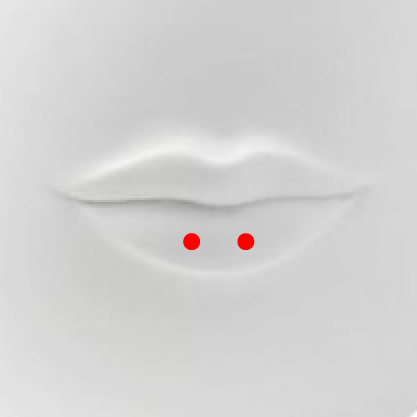 Horizontal Labret Piercing This piercing is placed through the lower lip and can be simply considered a form of surface piercing.