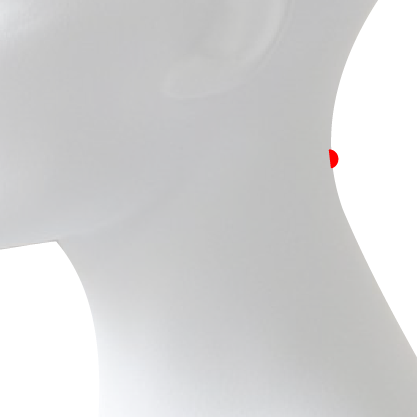 Nape Dermal Piercing This is a piercing through the surface of the nape (back part) of the neck.