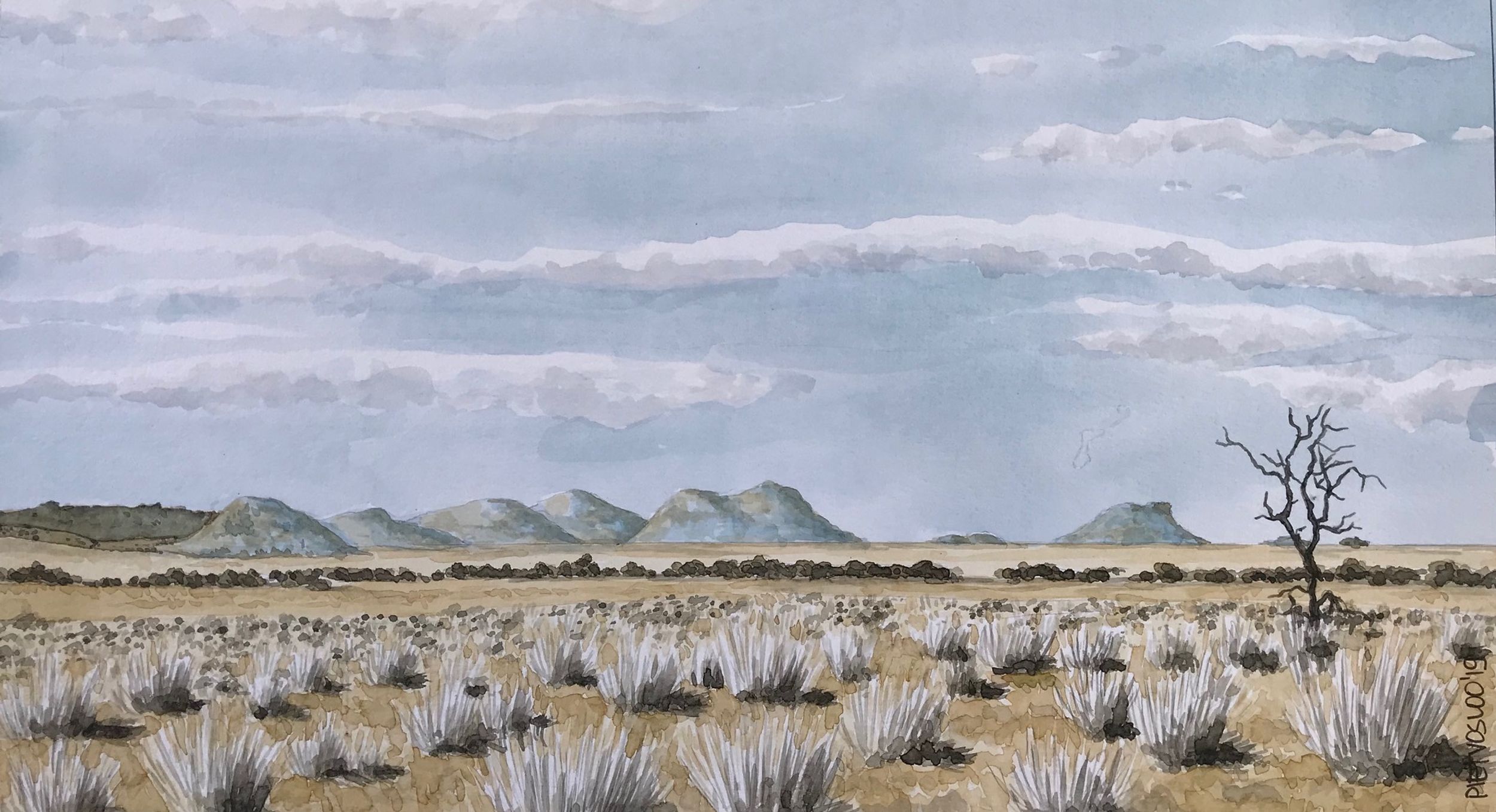   Namibia and Botswana works   N76  Dead tree in the Namib, Namibia  360X200 Watercolour  R2500,00 