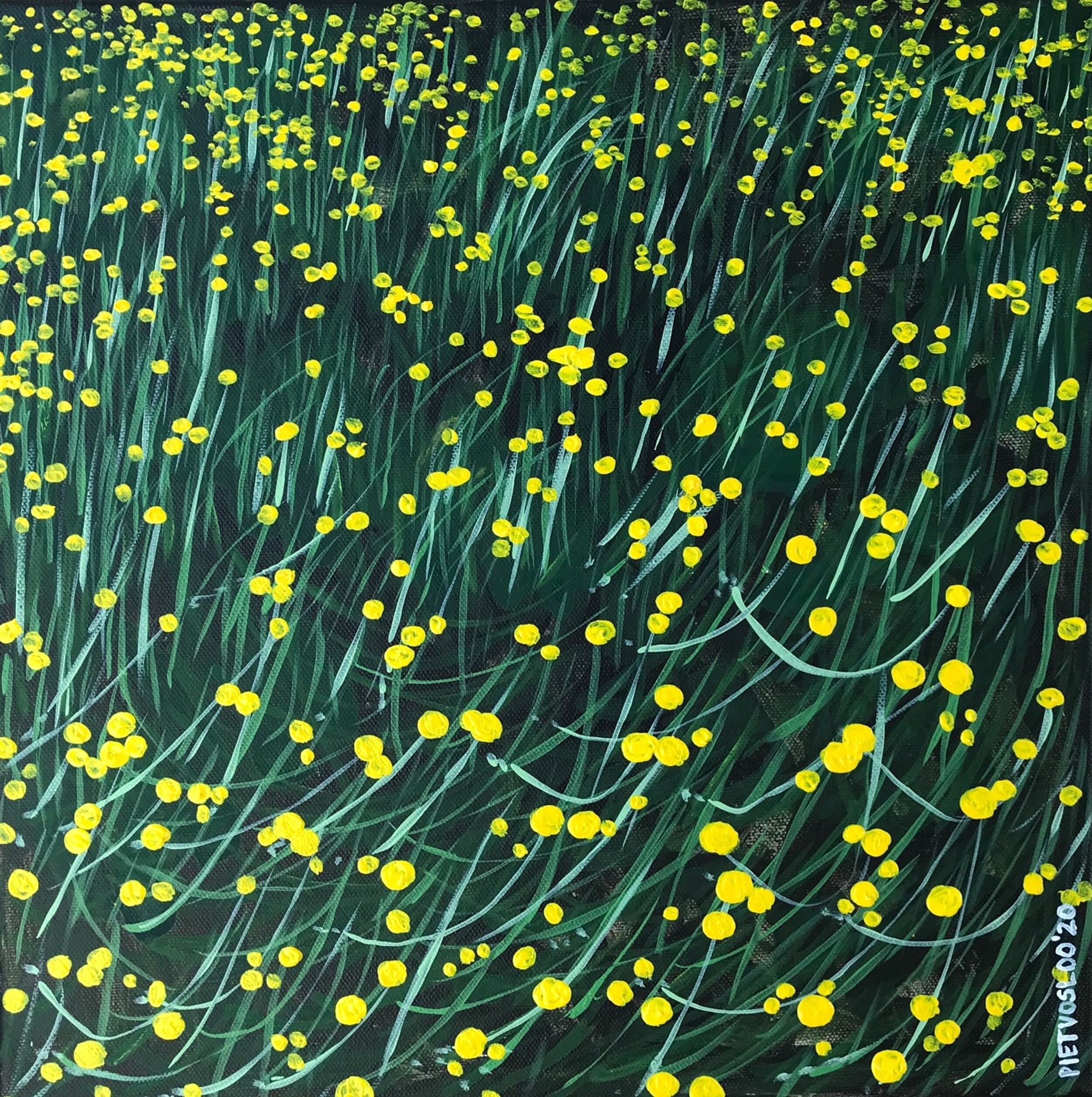 Other works (Copy)