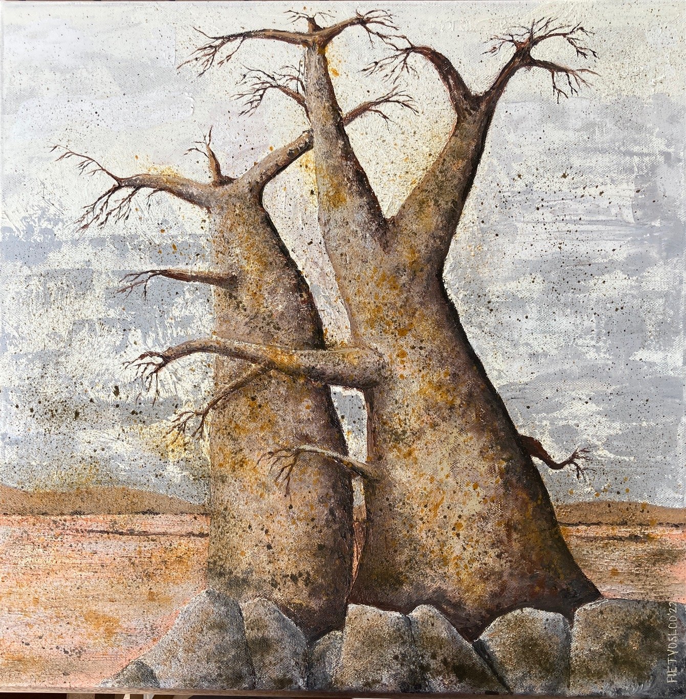 Baobab trees on Kubu Island Botswana (Copy)