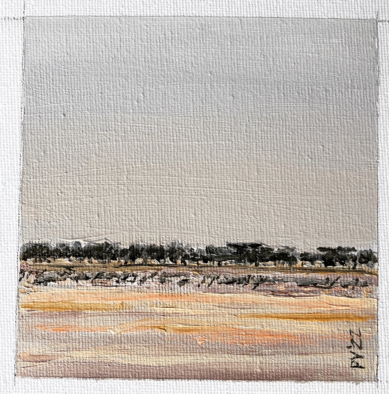 Dry river bed, Khaudom, Namibia (Copy)