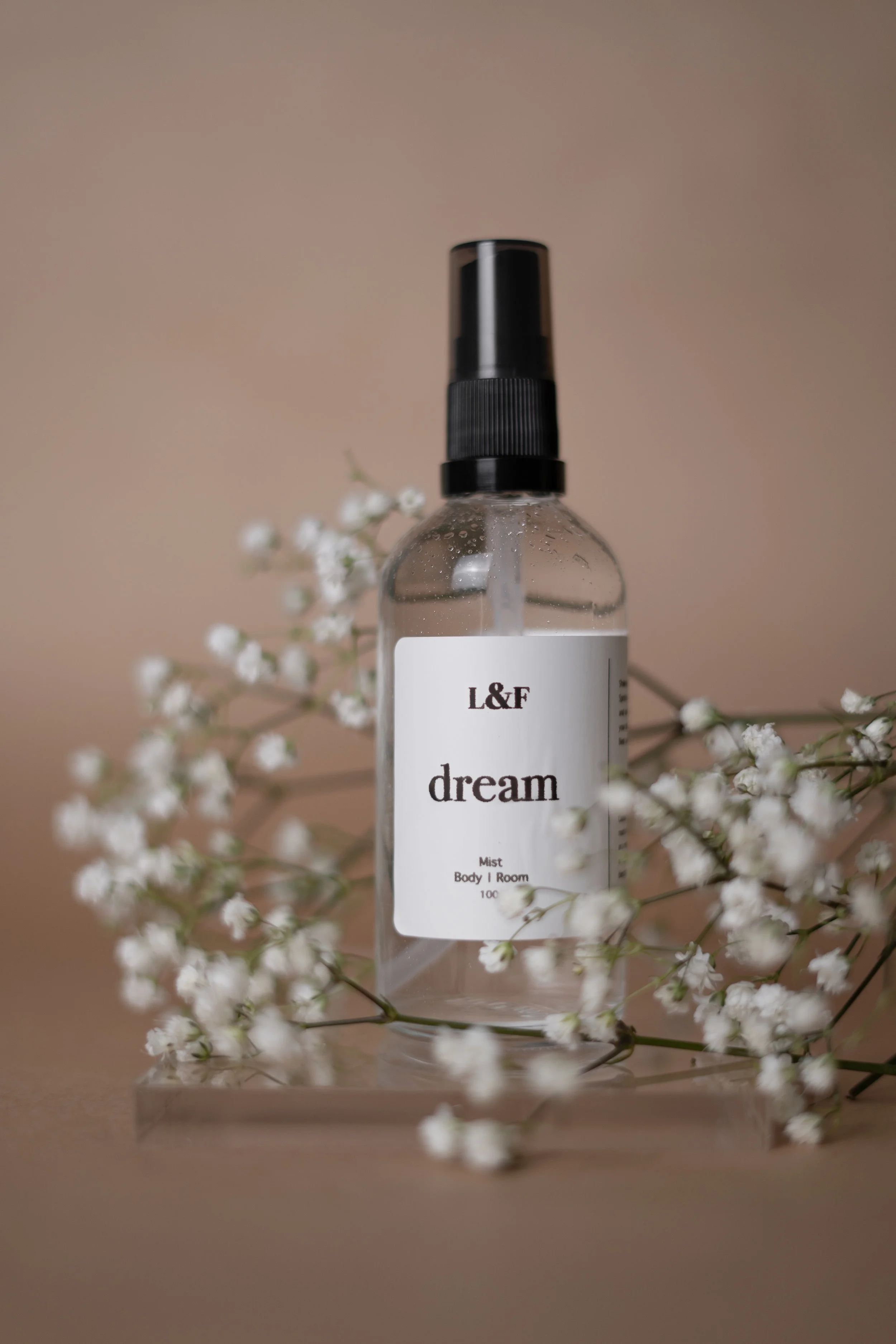 mist dream.jpg