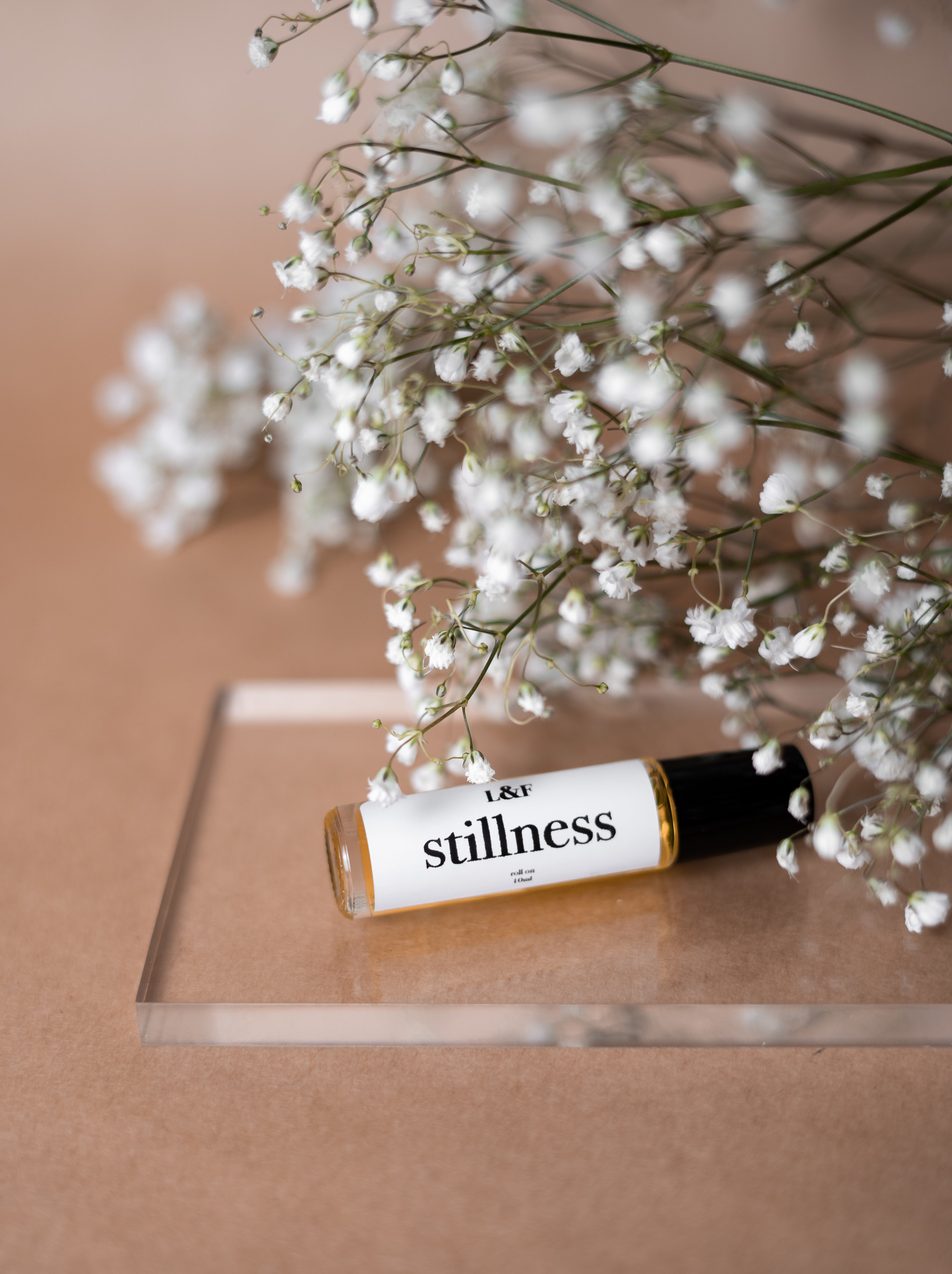 roller stilness 2.jpg