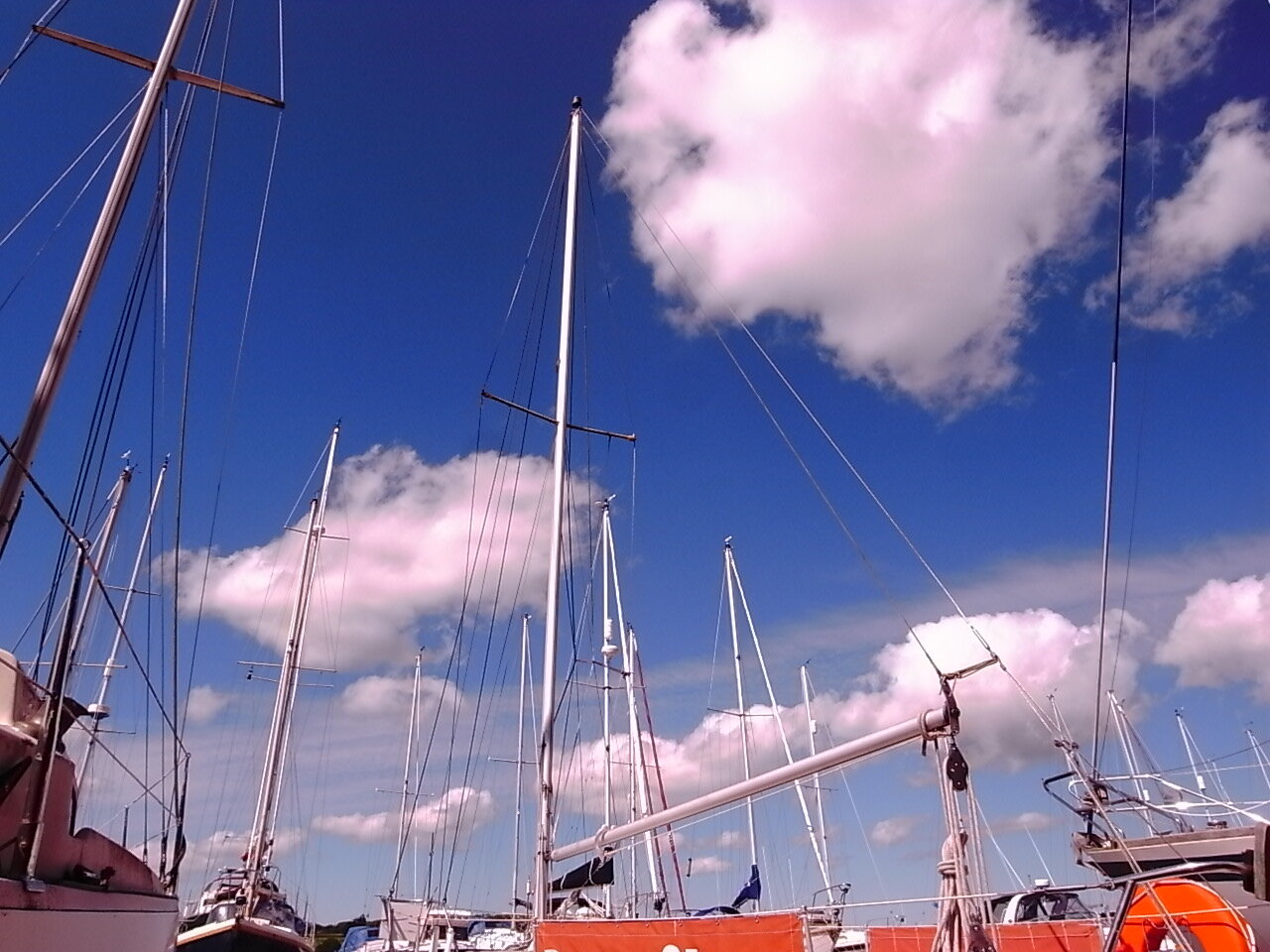 R0029915.jpg