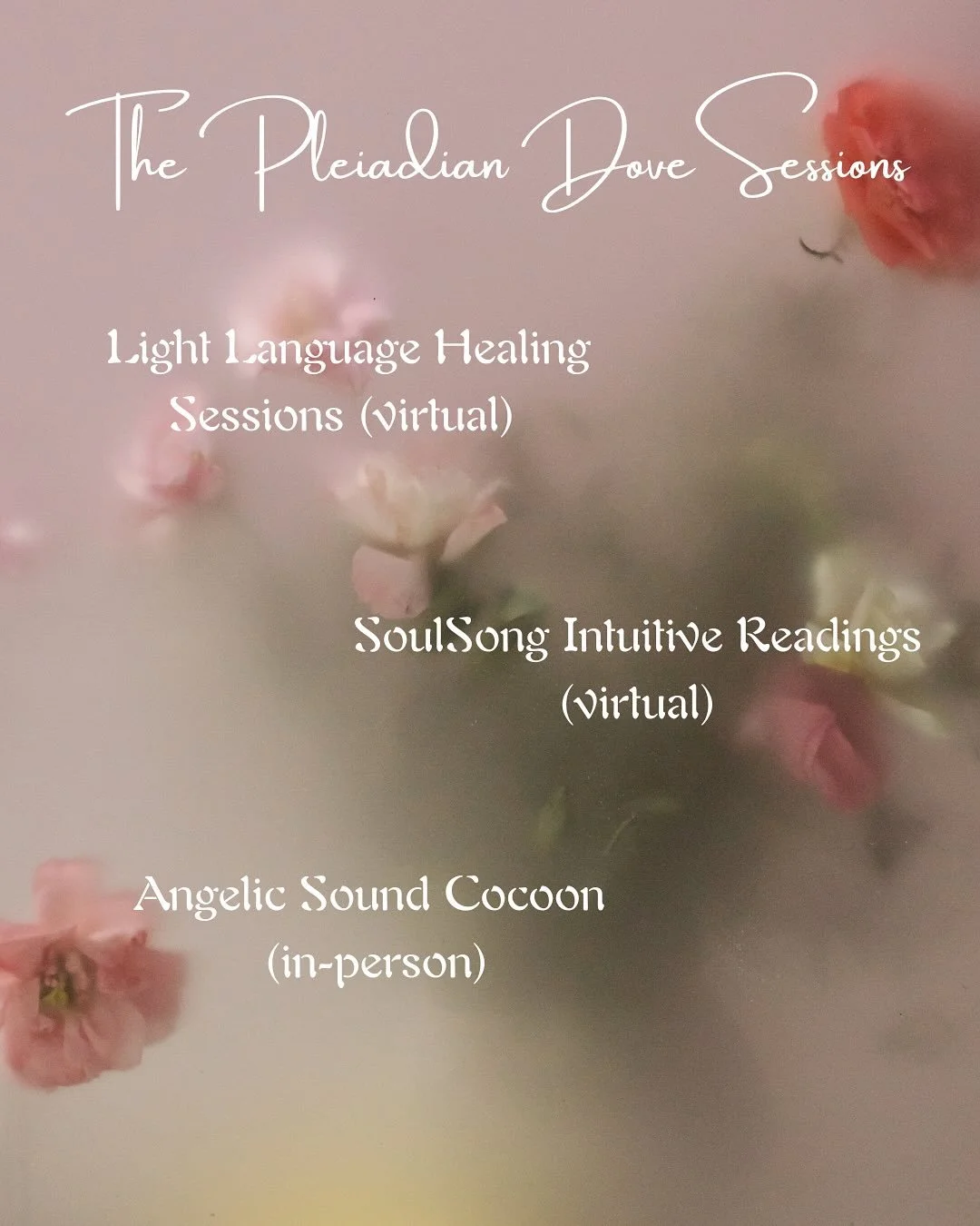 🪽🩷My heart expands to share these beautiful offerings with you! 🪽🩷

New in-studio offering, The Angelic Cocoon Sound Healing. Pennington, NJ ✨

October offer~Book any session and receive a copy of my Starseed Support Handbook as my gift 💝 

Link