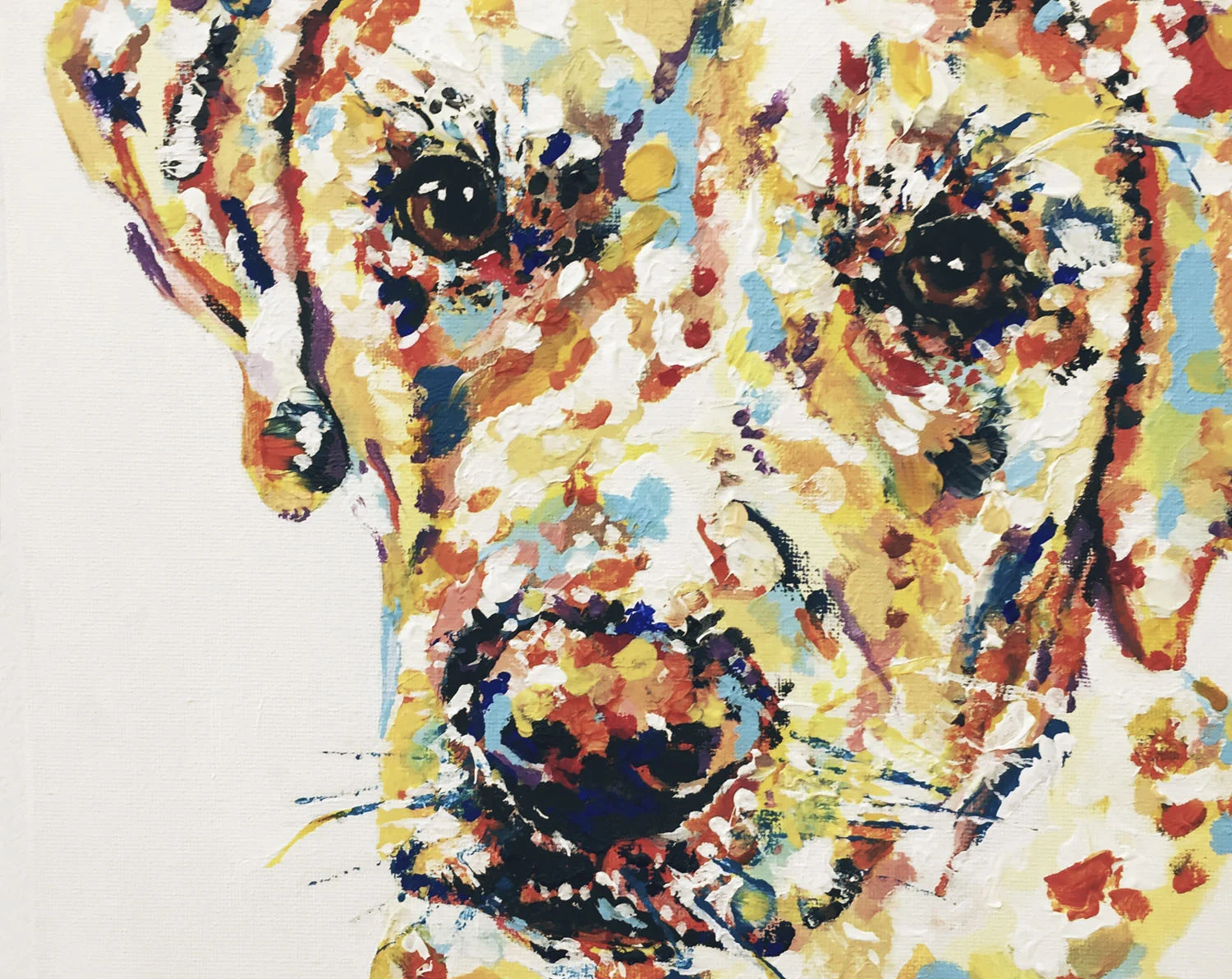 Bdog Crop.jpg