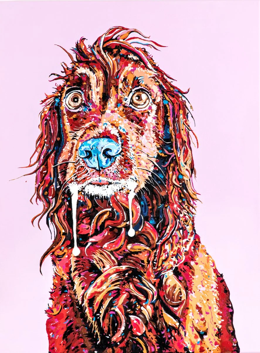 A Drool's Game