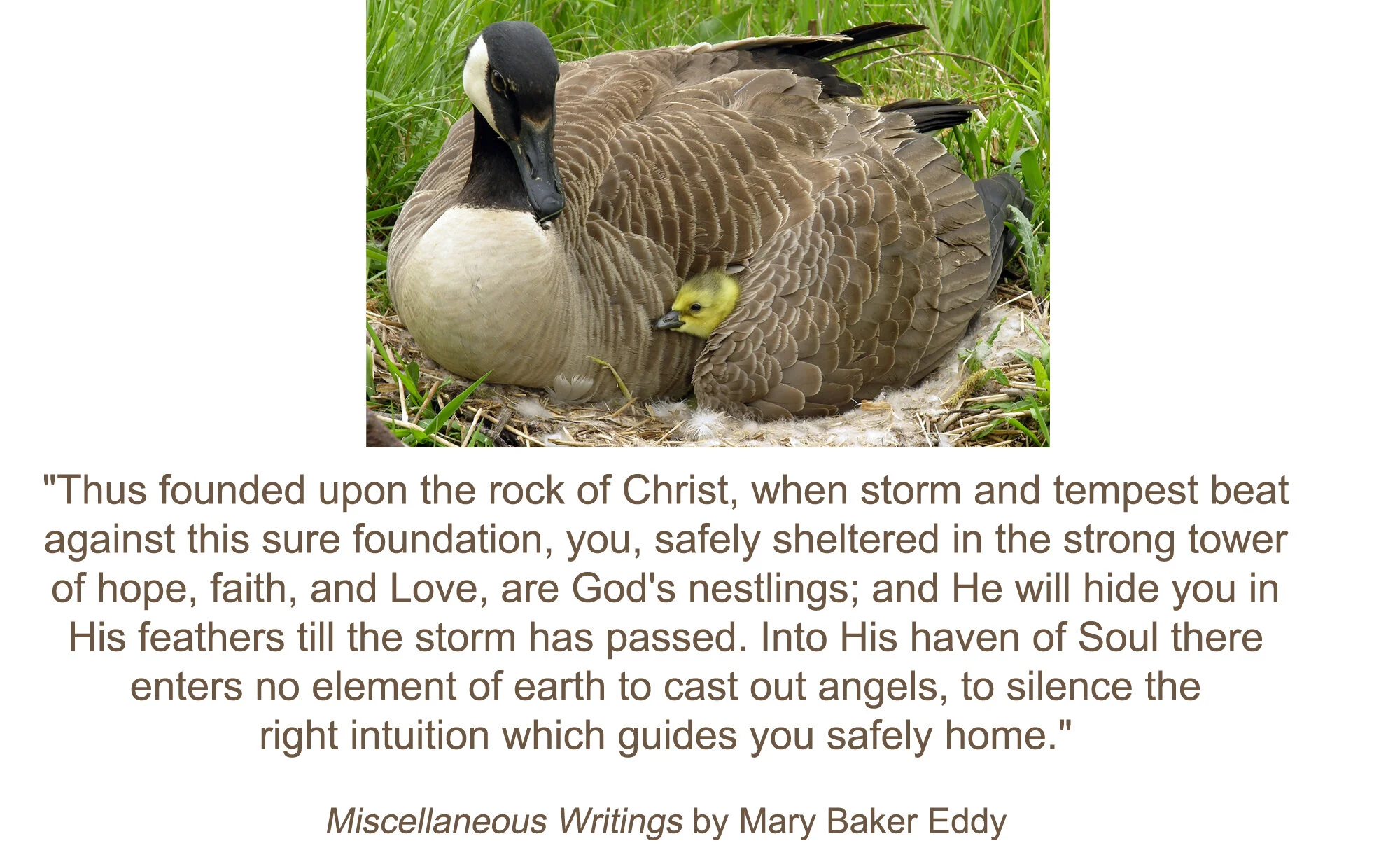 Safety &amp; Weather