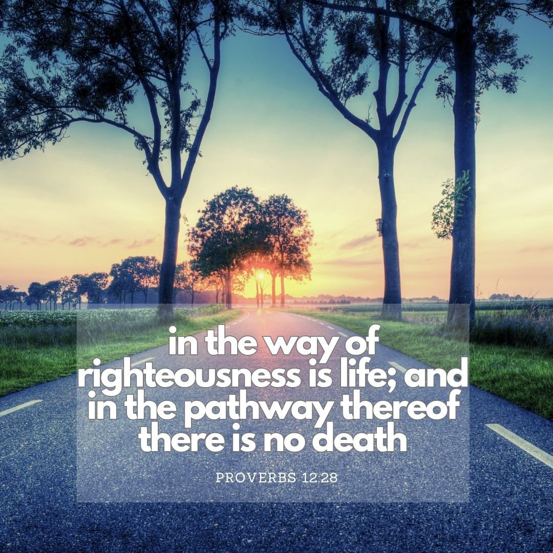 in the way of righteousness is life; and in the pathway thereof there is no death - Proverbs 12:28

#healingdfw
#biblequotes
#dailyinspiration
#walkthisway
#upliftingthought