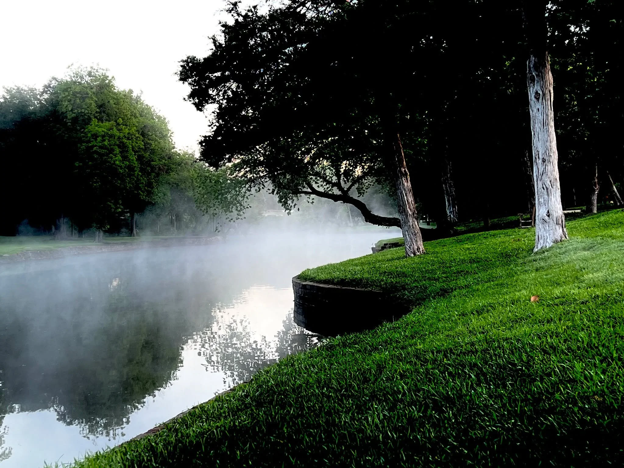 Blessed is the man that trusteth in the LORD, and whose hope the LORD is. For he shall be as a tree planted by the waters, and that spreadeth out her roots by the river, and shall not see when heat cometh, but her leaf shall be green; and shall not b