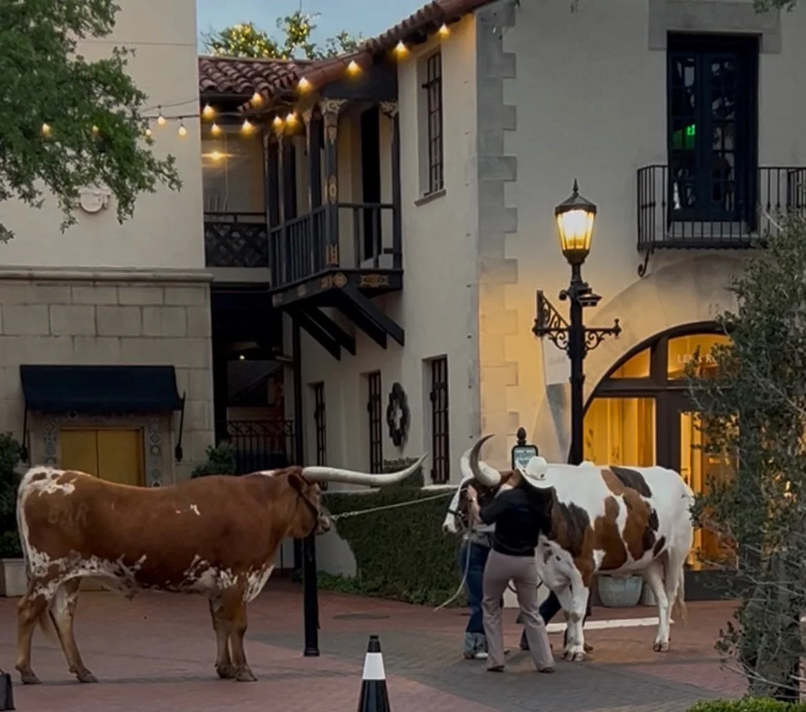 And I will bring the blind by a way that they knew not; I will lead them in paths that they have not known: I will make darkness light before them, and crooked things straight. These things will I do unto them, and not forsake them. (Isaiah 42:16)