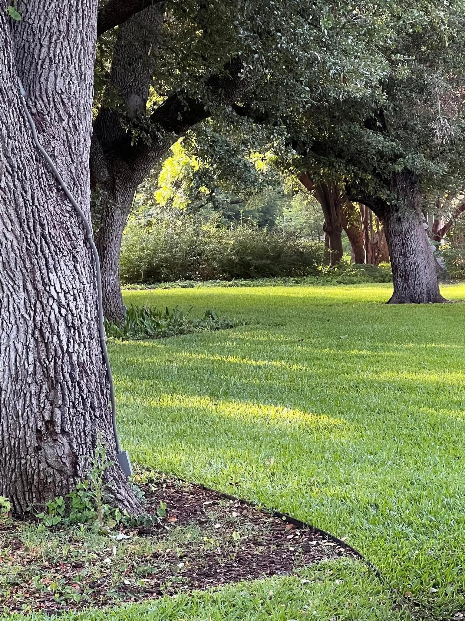 "Mortal belief (the material sense of life) and immortal Truth (the spiritual sense) are the tares and the wheat, which are not united by progress, but separated." -Mary Baker Eddy, Science and Health with Key to the Scriptures, P. 72:13

P