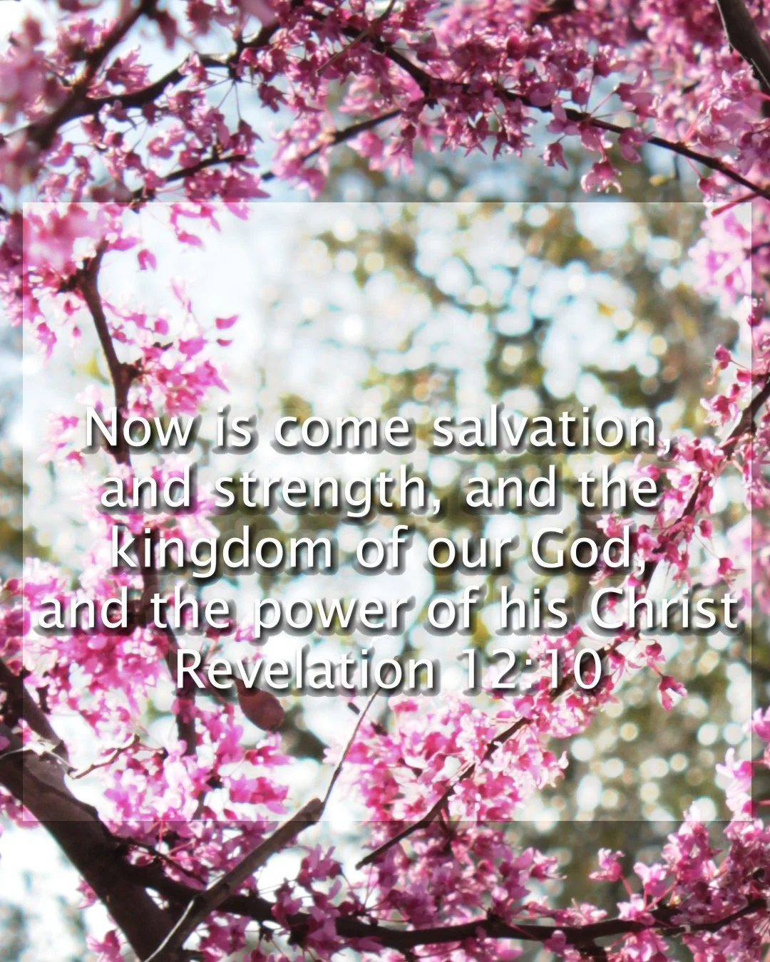 "Now is come salvation, and strength, and the kingdom of our God, and the power of his Christ" - Revelation 12:10

Art by Windy Schmidt