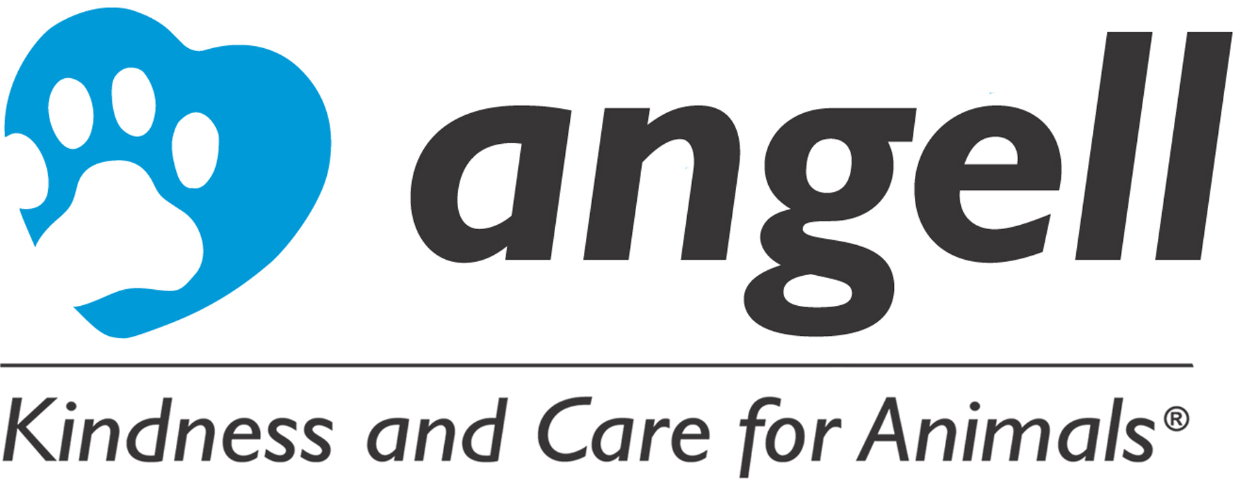 Angell_logo_with_tag.jpg
