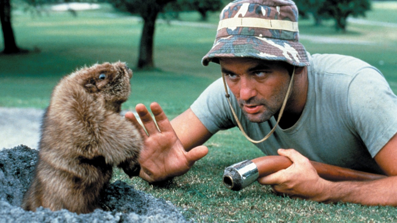4b7b8ff23e2c-caddyshack___h___1980.jpg