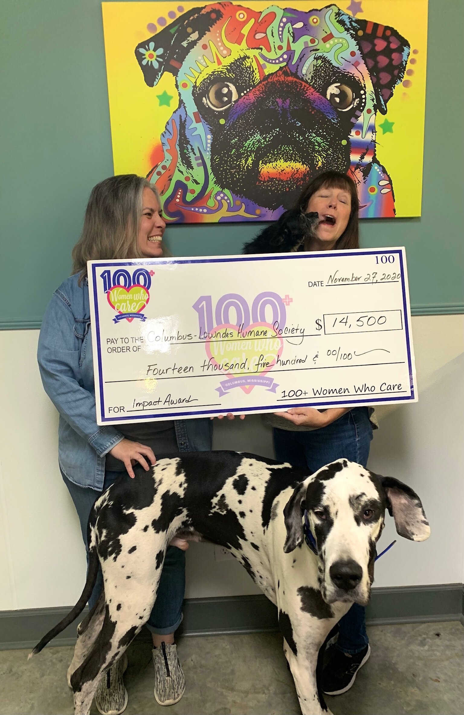 Lowndes County Humane Society 2020