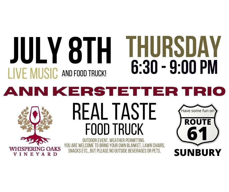 Free Live Music - Ann Kerstetter Trio