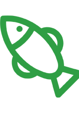 Green line drawing of a fish.