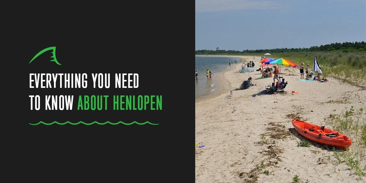 Explore Cape Henlopen State Park in DE | Complete Guide — Thompson Island