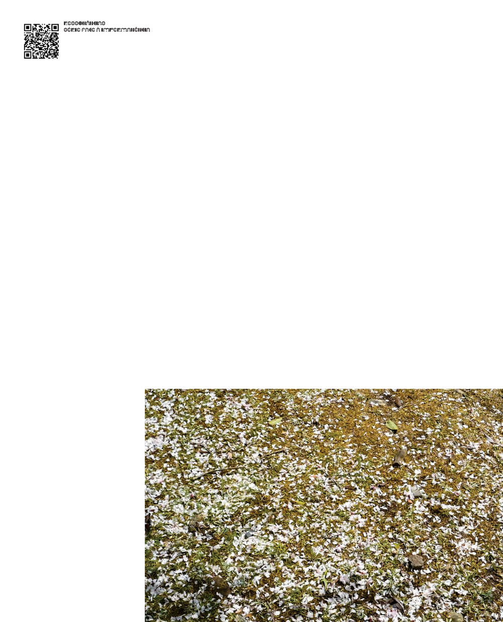 69a.png