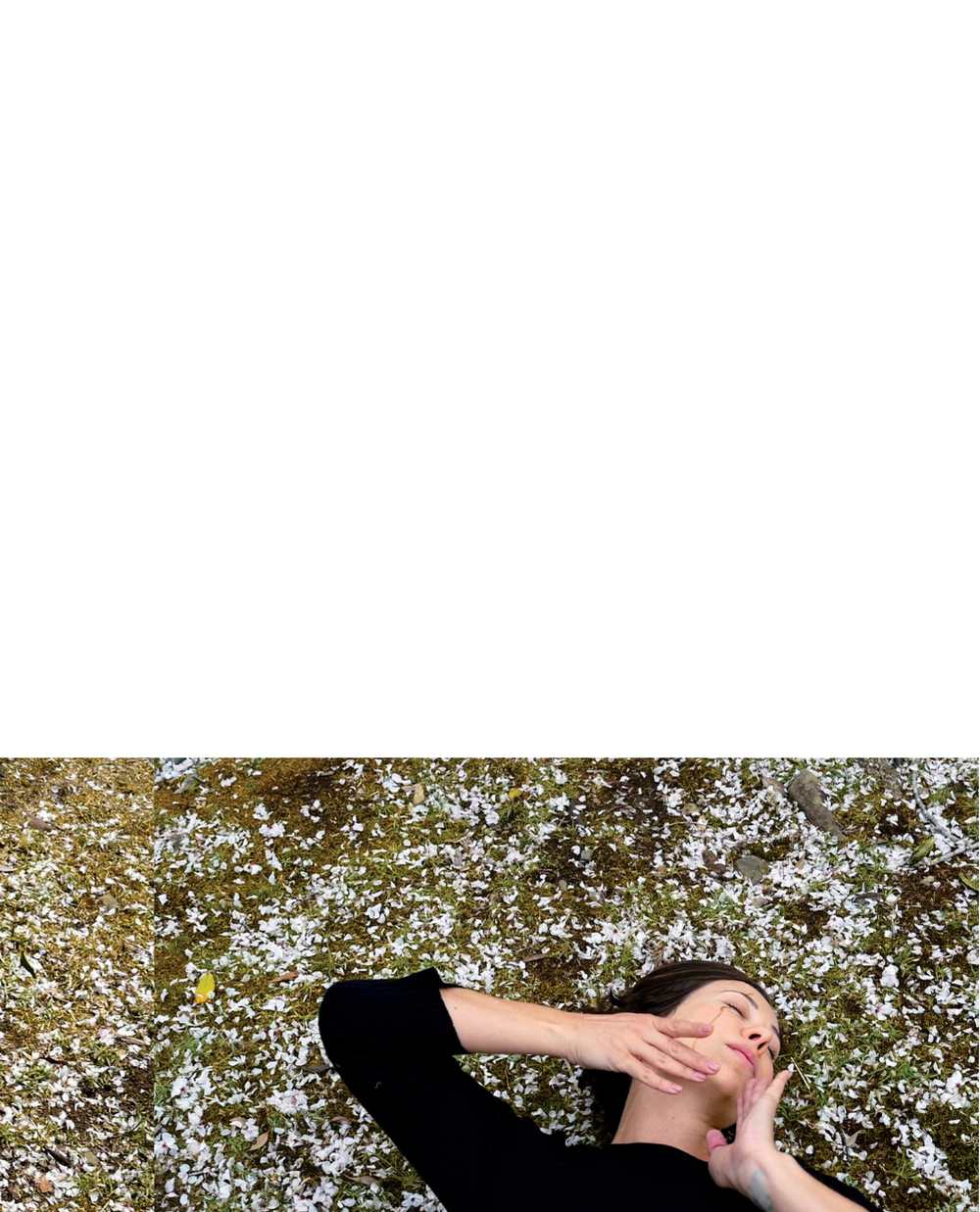 69b.png