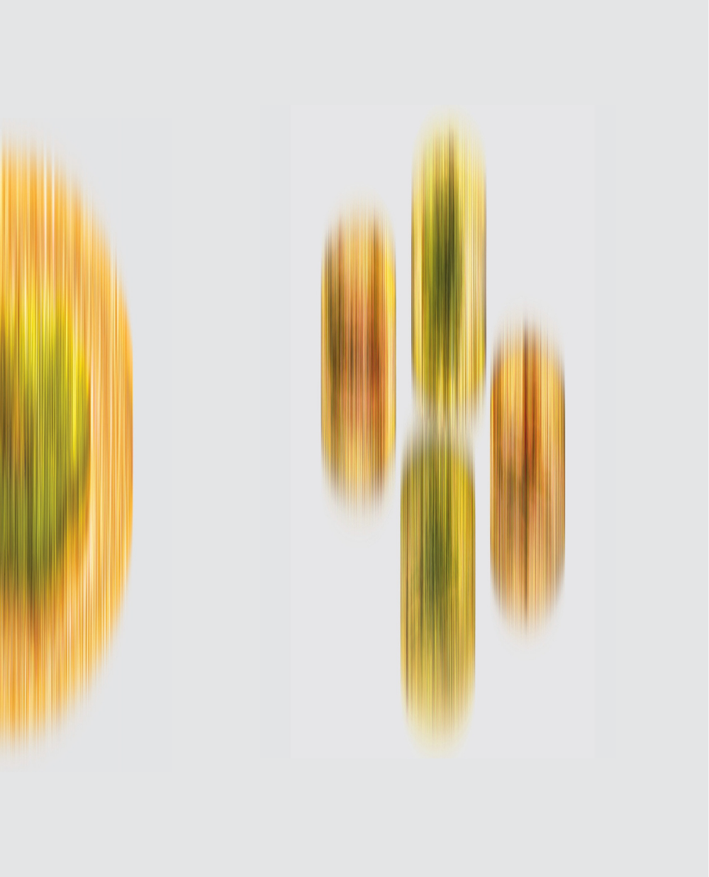 77b.png