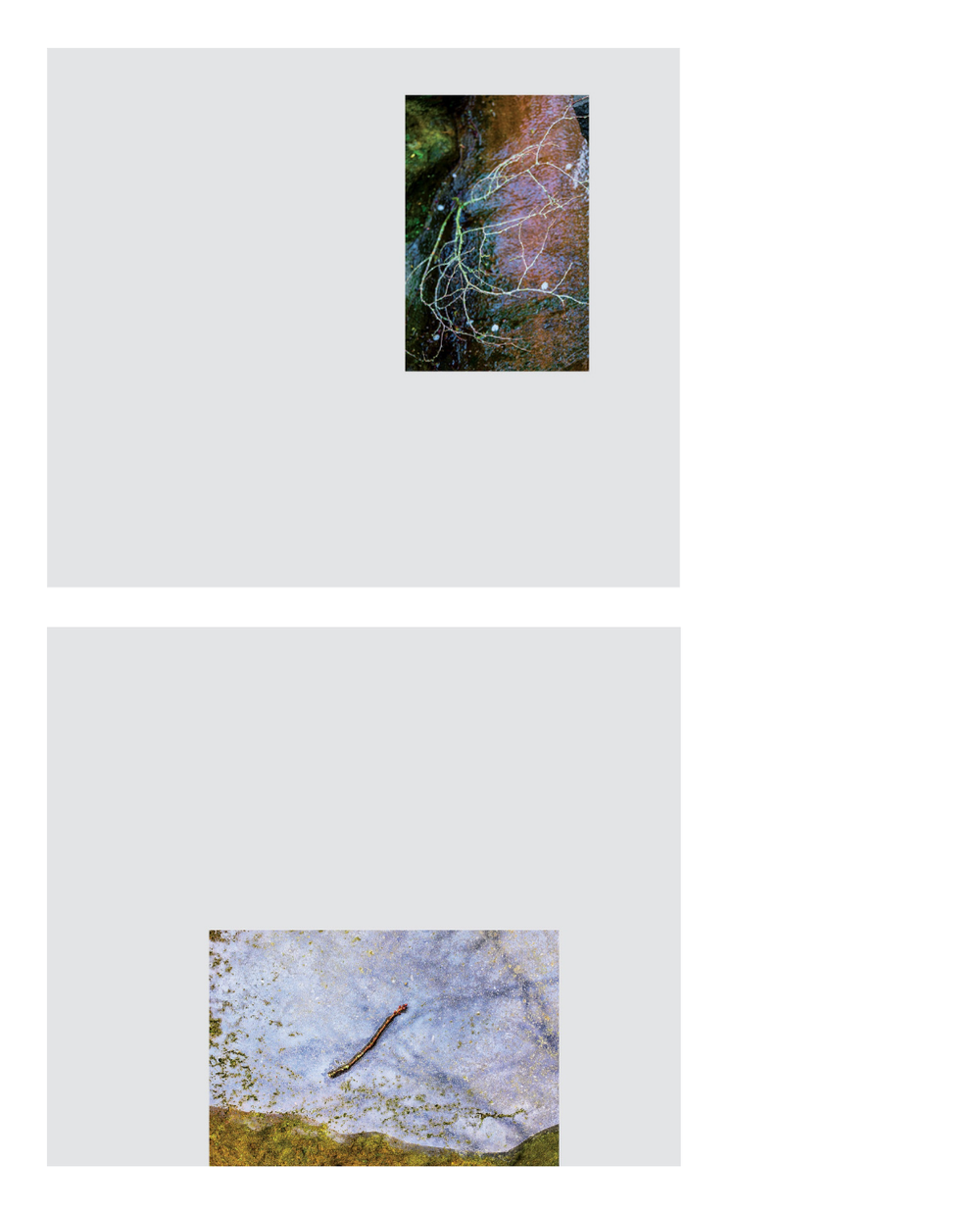 79a.png