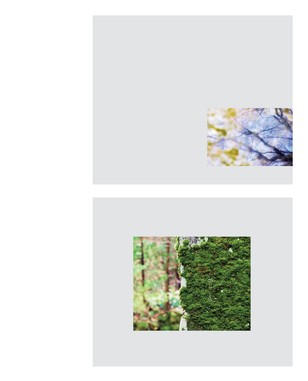 79b.png